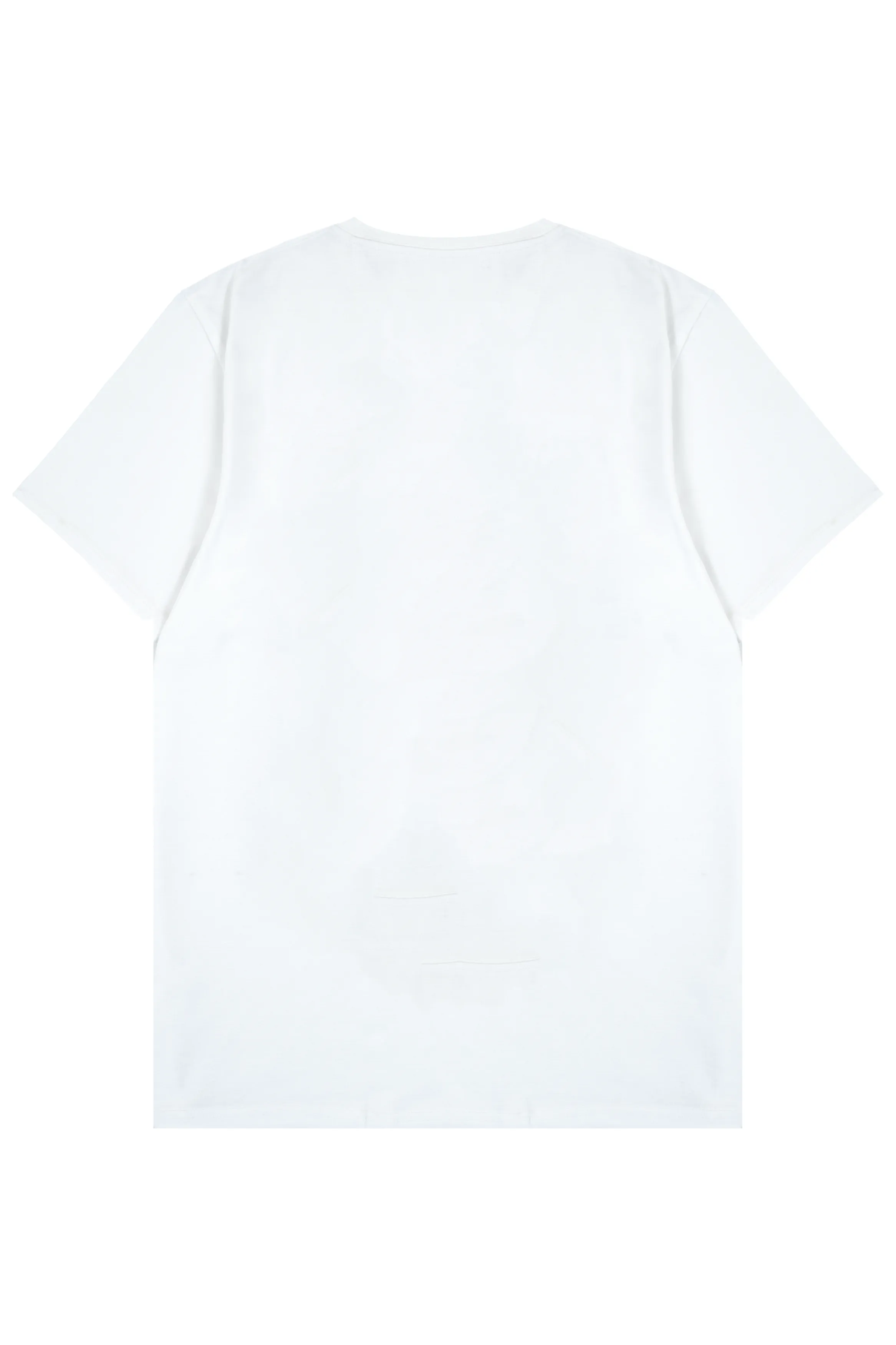 Ryusei x Solo Leveling | Tshirt Sung Jinwoo