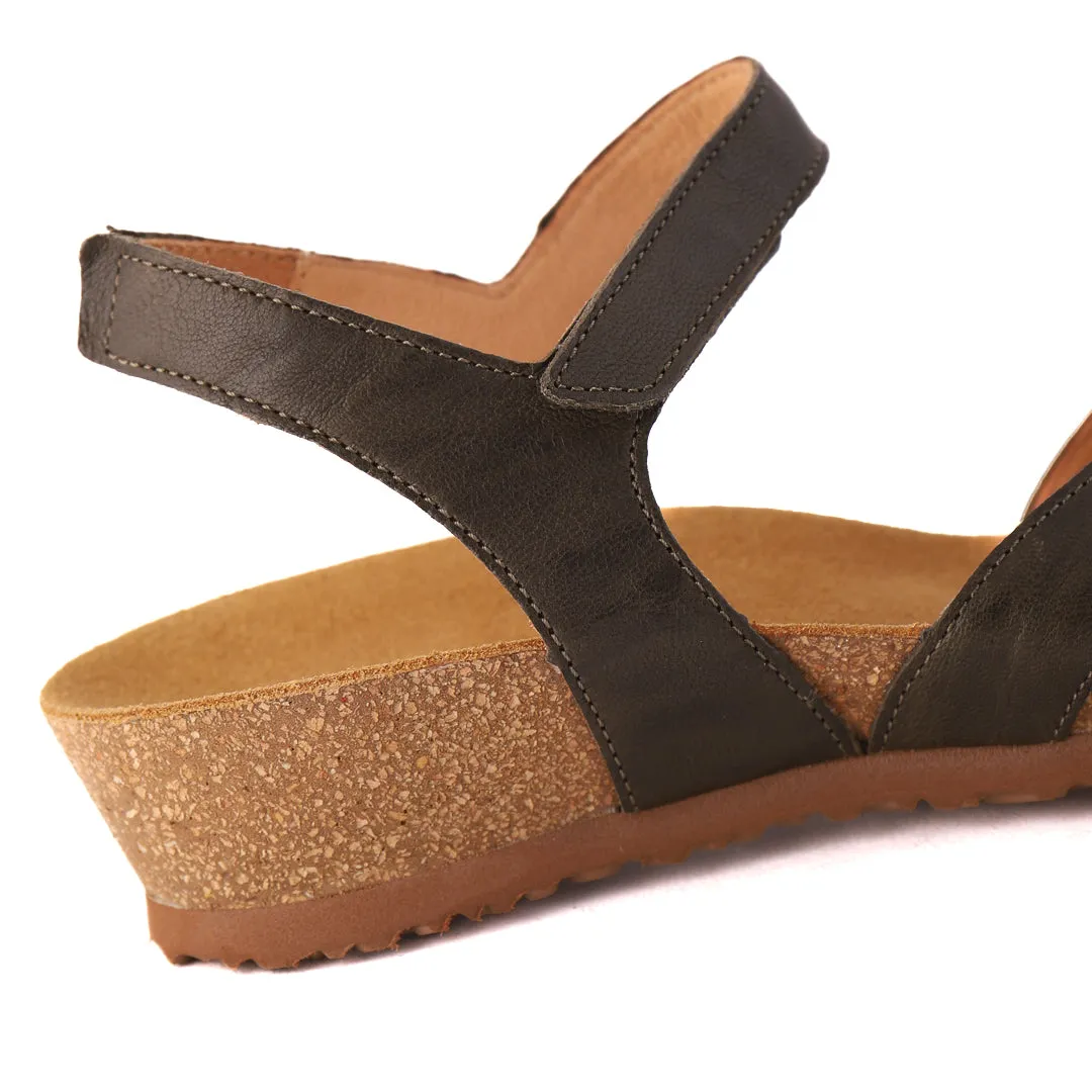 TAO Olive